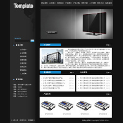 网站建设-数码产品生产企业网站 深圳市品牌网站建设 深圳专业网站建设公司-网站建.