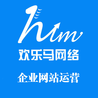 企业网站运营|企业网站运营公司-深圳欢乐马网络产品图片高清大图- 图片库